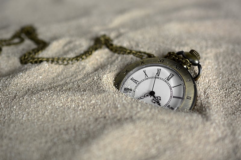 Time Travel Professional
